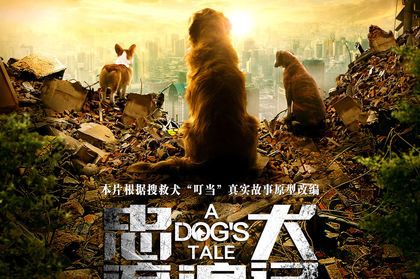 忠犬流浪记