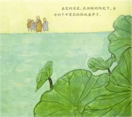 安的种子读后感小学生