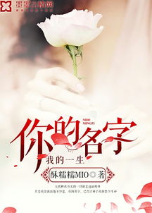你的名字小说读后感
