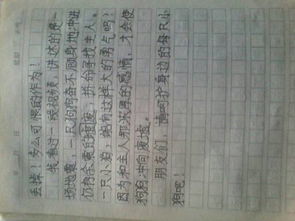 我的第一本书读后感300字