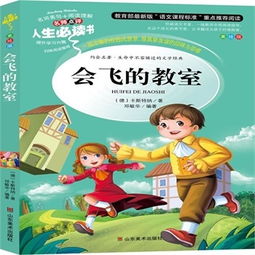 会飞的教室读后感50字