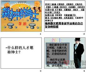 森林中的绅士读后感
