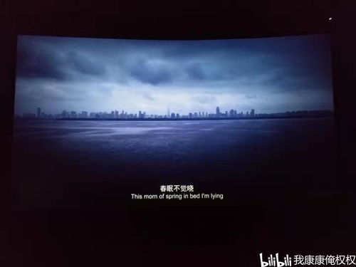 中国的日夜读后感