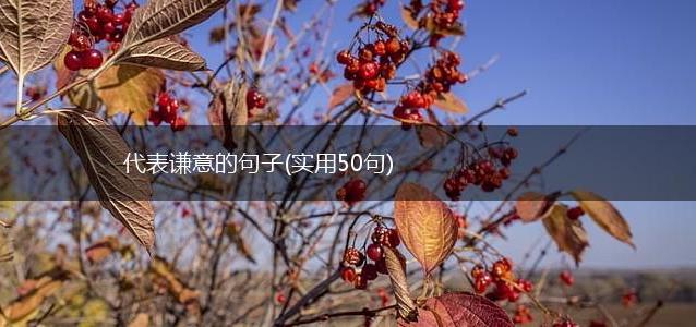 代表谦意的句子