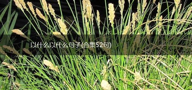 以什么以什么句子
