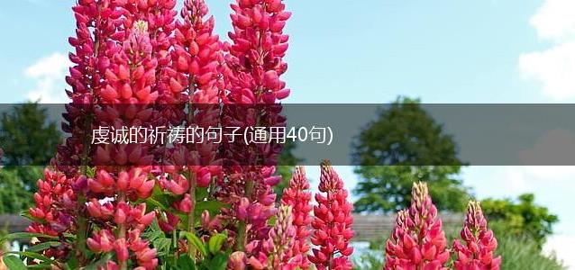 虔诚的祈祷的句子