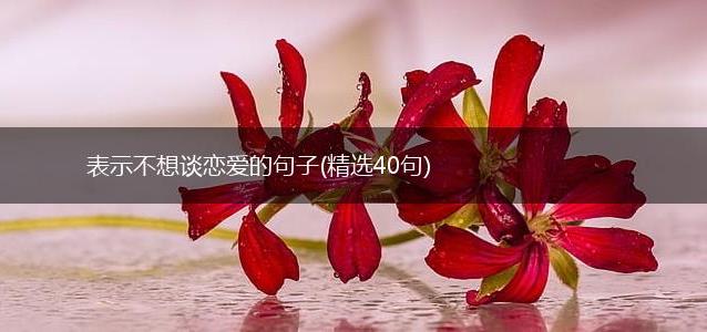 表示不想谈恋爱的句子