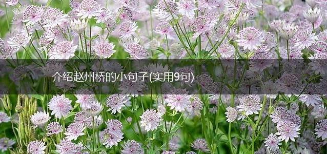 介绍赵州桥的小句子