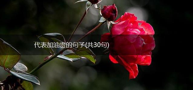 代表加油贵的句子