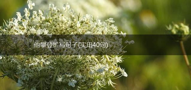 他攀登扩写句子