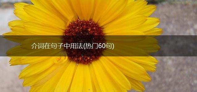 介词在句子中用法