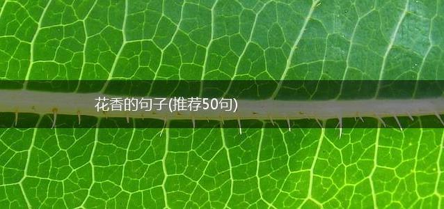 花香的句子
