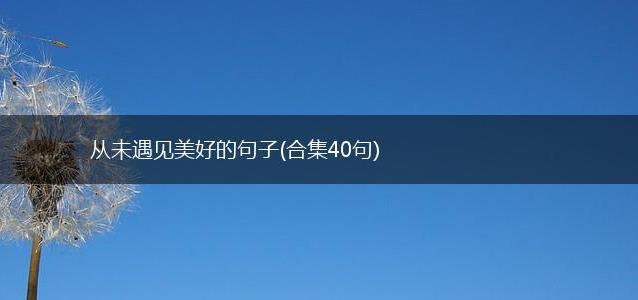 从未遇见美好的句子