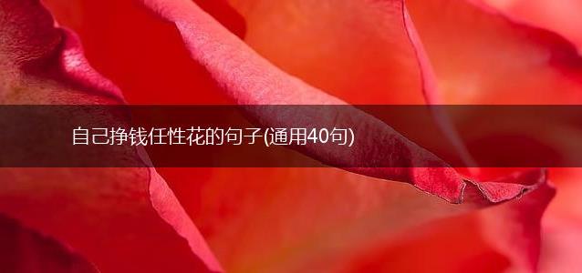 自己挣钱任性花的句子