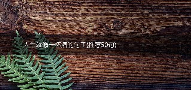 人生就像一杯酒的句子