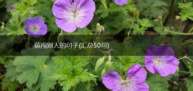 藐视别人的句子