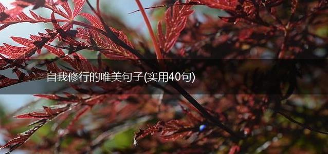自我修行的唯美句子