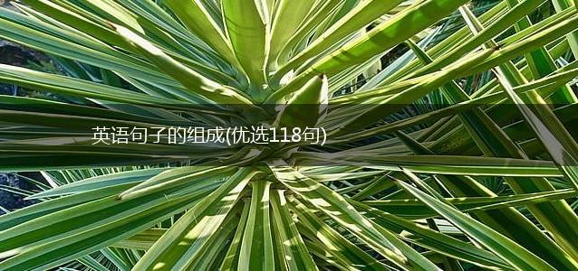英语句子的组成
