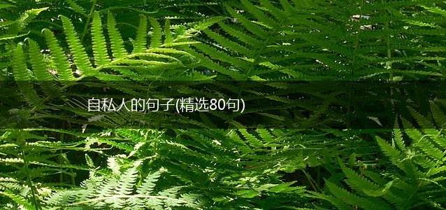 自私人的句子