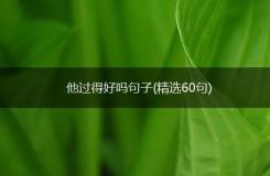 他过得好吗句子(精选60句)5-13-79