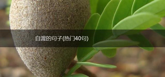 自渡的句子