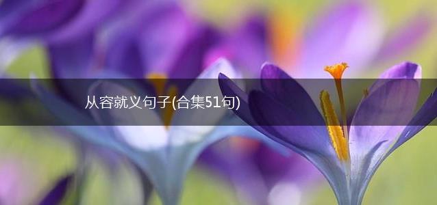 从容就义句子