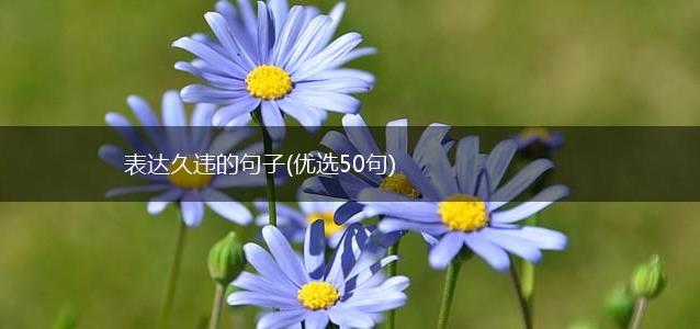 表达久违的句子