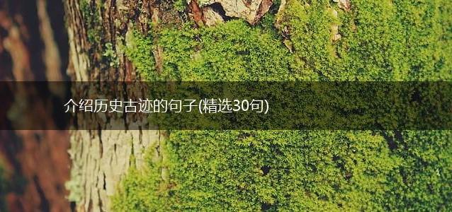 介绍历史古迹的句子