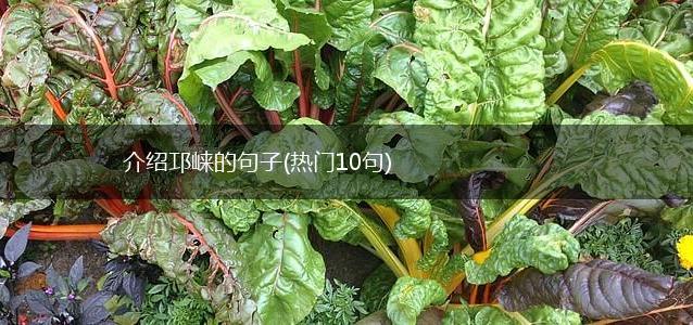 介绍邛崃的句子