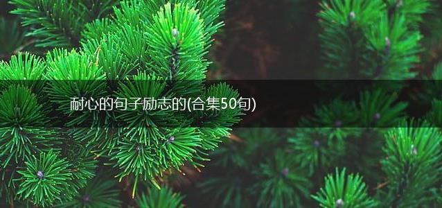 耐心的句子励志的