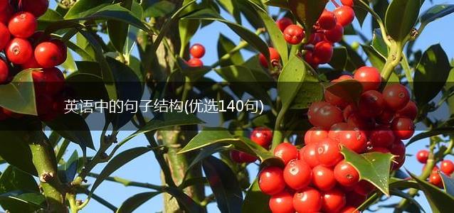 英语中的句子结构
