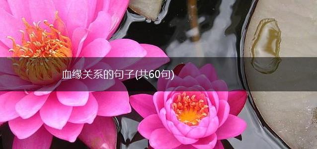 血缘关系的句子