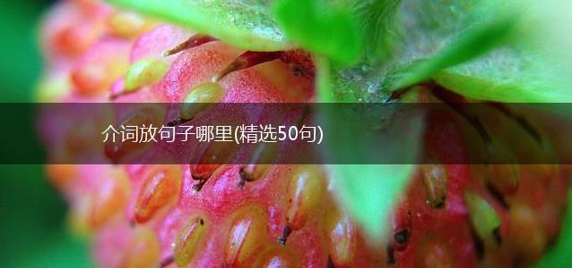介词放句子哪里