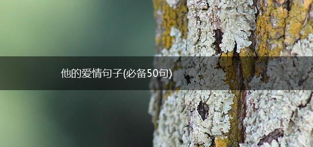 他的爱情句子