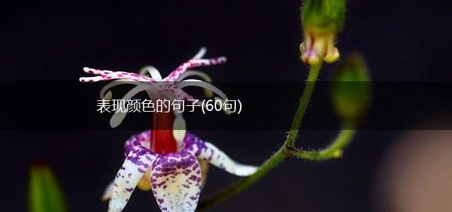 表现颜色的句子