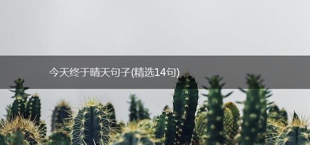 今天终于晴天句子