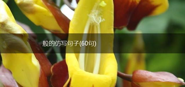般的仿写句子