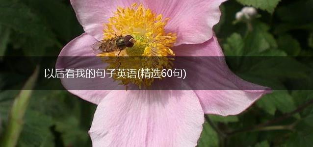 以后看我的句子英语
