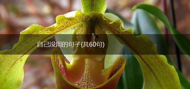 自己没用的句子