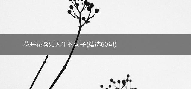 花开花落如人生的句子