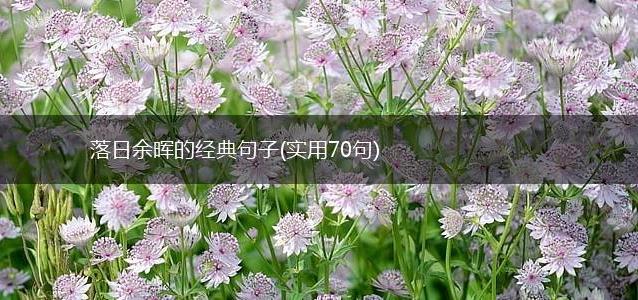 落日余晖的经典句子