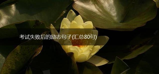 考试失败后的励志句子