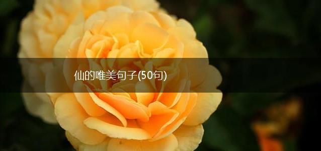仙的唯美句子