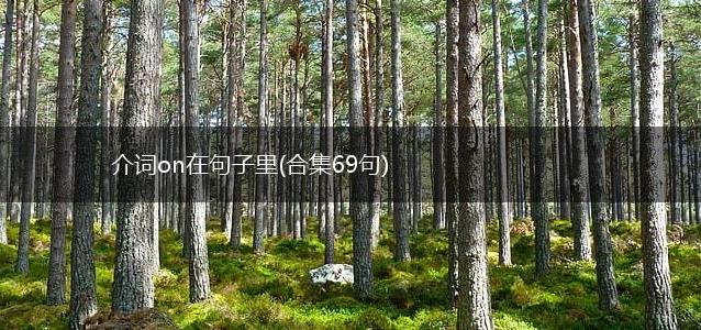 介词on在句子里