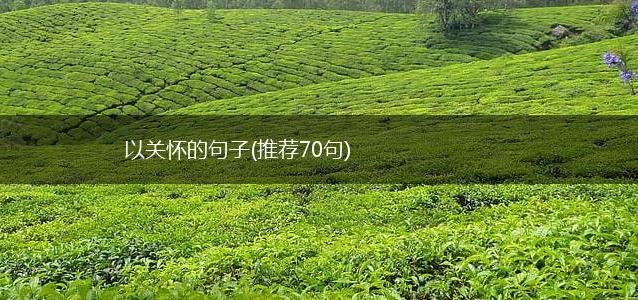 以关怀的句子