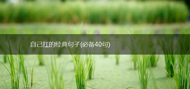 自己扛的经典句子
