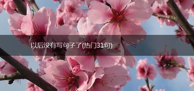 以后没有写句子了