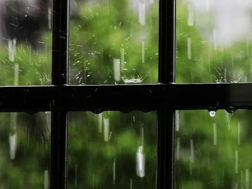 描写雨的句子和感受