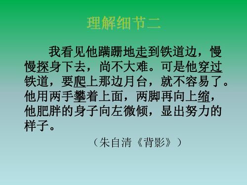 是细节描写的句子