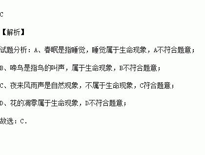 描写生命伟大的句子